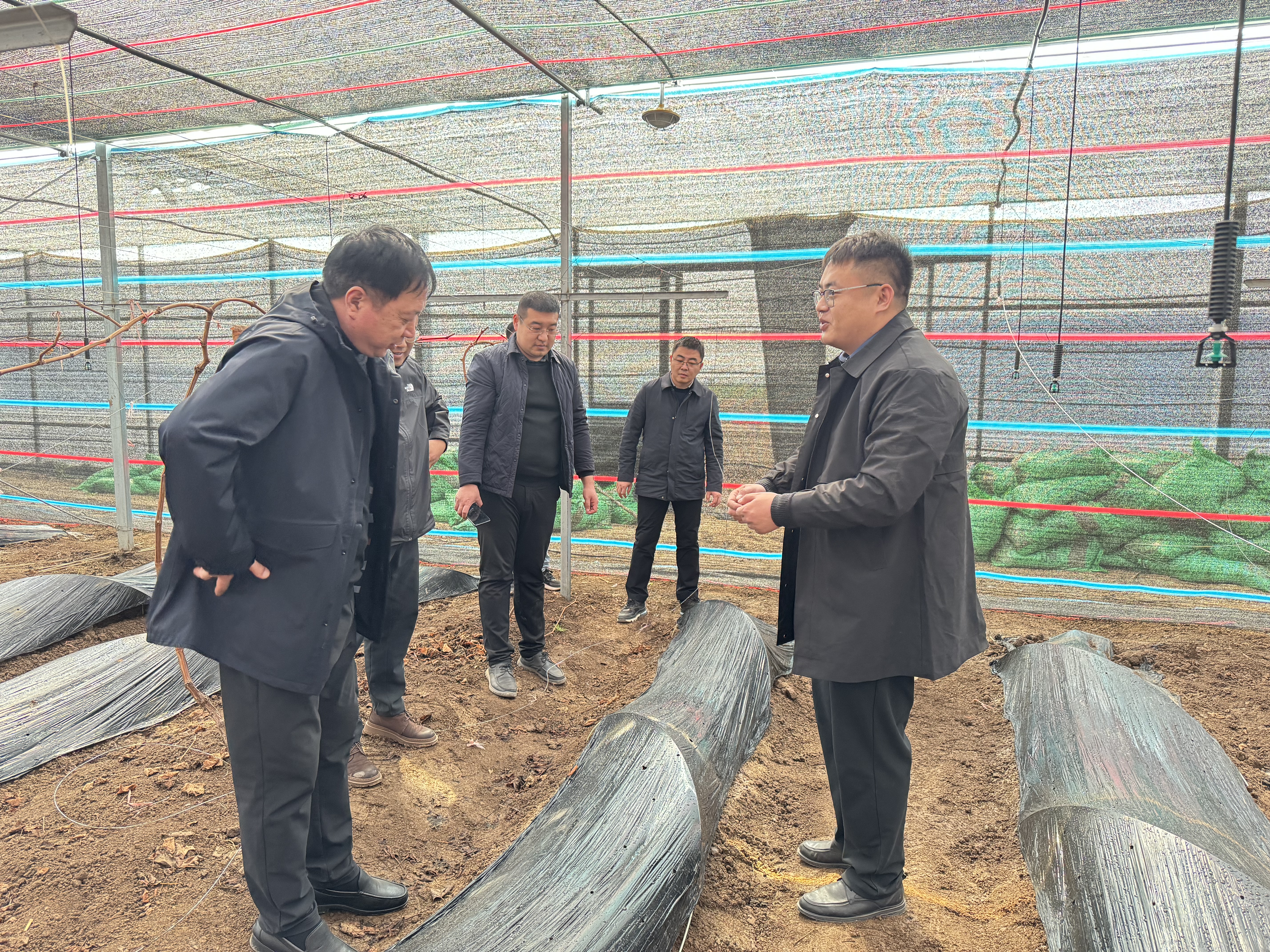 農發(fā).jpg 農發(fā).jpg